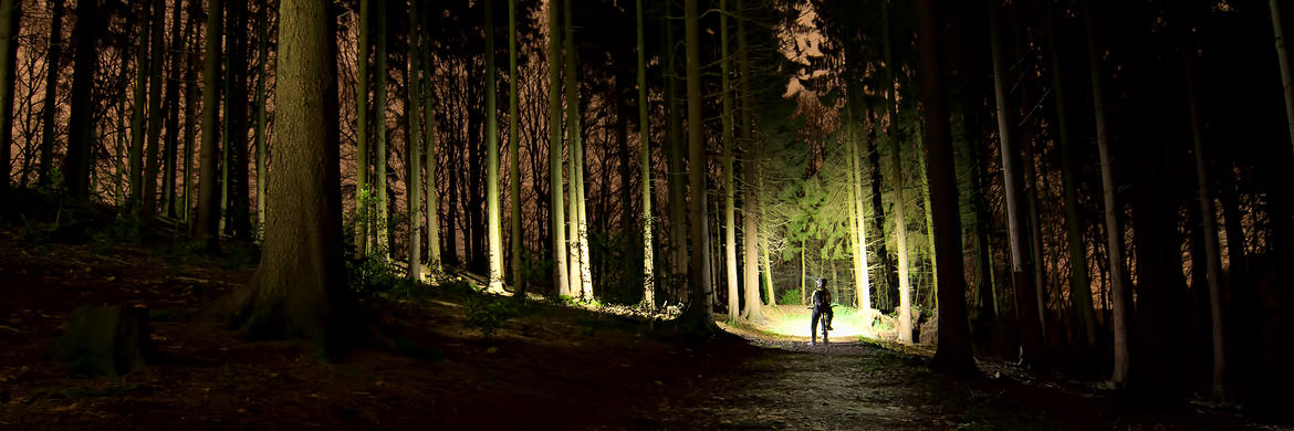 Hjälmlampa Lupine Wilma R